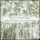 Mindfulness Slow Life Selection - Wish & Anxiety (Original Mix)