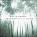 Mindfulness Slow Life Selection - Ordovician & Relaxation