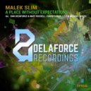 Malek Slim - A Place Without Expectations (Dan Delaforce & Matt Russell Remix)