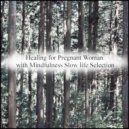 Mindfulness Slow Life Selection - Linnaeus & Acoustic (Original Mix)