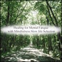 Mindfulness Slow Life Selection - Lavender & Healing