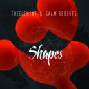 TheElement & Saam Roberts - Shapes