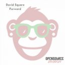David Square - Midnight Groove (Original Mix)