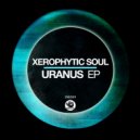 Xerophytic Soul - Planet Nibaru (Original Mix)
