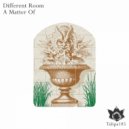 Different Room - Wide Horizons