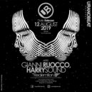 Gianni Ruocco, Harrysound - Delusion