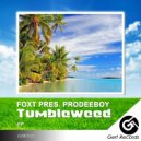 Foxt Pres. Prodeeboy - Tumbleweed (Original Mix)