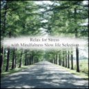 Mindfulness Slow Life Selection - Taurus & Communication