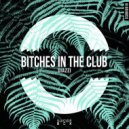Diazzi - Bitches in the Club (Club Mix)
