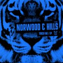 Norwood & Hills - Touch Me (Original Mix)