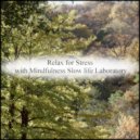 Mindfulness Slow Life Laboratory - Comet & Stress Free