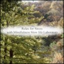 Mindfulness Slow Life Laboratory - Crocus & Concentration