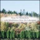 Mindfulness Slow Life Laboratory - Oyster Butter & Self Pleasure (Original Mix)