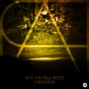 Into The Pale Abyss - These Regrettable Things