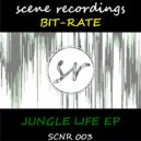 Bit-Rate - Specimen
