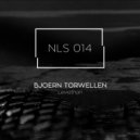 Bjoern Torwellen - Ugarit (Original Mix)