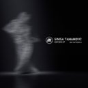 Sinisa Tamamovic - Motions