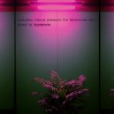 Birth of Frequency - Boss Frog (Original Mix)