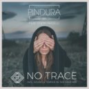 Pindura feat. Steffi Maselli - No Trace (Sound & Temper In The Dark Remix)