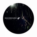 Dachshund - Invisible