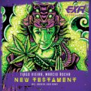 Tiago Vieira, Mauz - New Testament (Dask Remix)