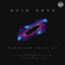 Acid Skys - Paradigm Shift (Francis White Remix)