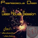 Presteegeous Deep - Deep House Session (Linka\'s 110 Keep Walkmental Mix)