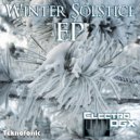 Electro DGX - Snow Carousel