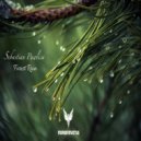 Sebastian Pawlica - Forest Rain (Original Mix)