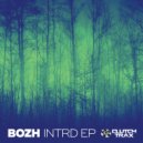 Bozh - Acdsys (Original Mix)