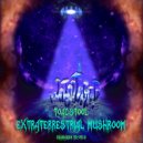 Toadstool - Inserting The Chip - 230 Bpm (Original Mix)