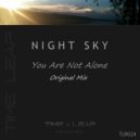 Night Sky - You Are Not Alone