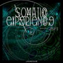 Hybrid Reality - Cherokee Morning Song (Original Mix)