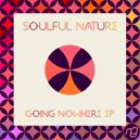 Soulful Nature - Something New