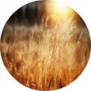 Daisuke Matsukura - TomTom03 (Original Mix)