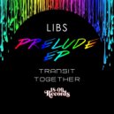 Libs - Together (Original Mix)