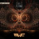Owl - Were The Same