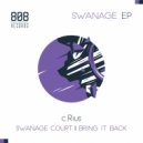 c.Rius - Bring It Back (Original Mix)