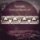 Turturu - Vineri Seara (Original Mix)
