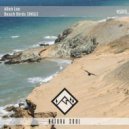 Allen Lee - Beach birds