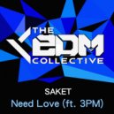 Saket feat. 3PM - Need Love