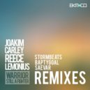 Joakim Carley - Warrior (Saevar Remix)