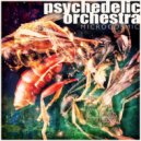 Psychedelic Orchestra - Let Us All Unite (Original Mix)