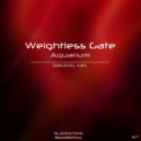 Weightless Gate - Aquarium (Original Mix)