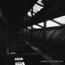 Discknocked - D9 (DeepNoize DJs Remix)