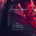 Noviomagum - Into The Arena (Original Mix)