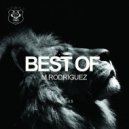 M. Rodriguez - Sometimes