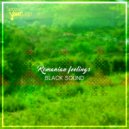 Black Sound - Romanian Feelings (Original Mix)