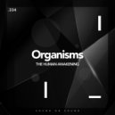 The Human Awakening - Pandemics (Original Mix)