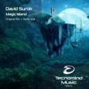 David Surok - Magic Island